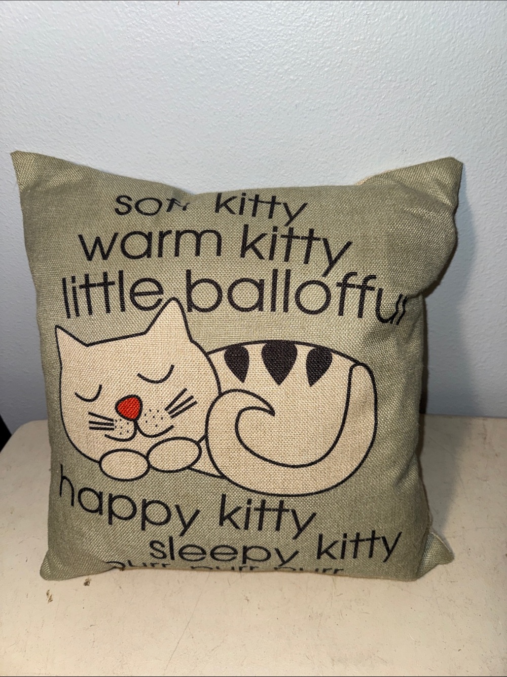 Big Bang Theory “Soft Kitty Warm Kitty” Decorative Cat Pillow Cover 17” x 17”